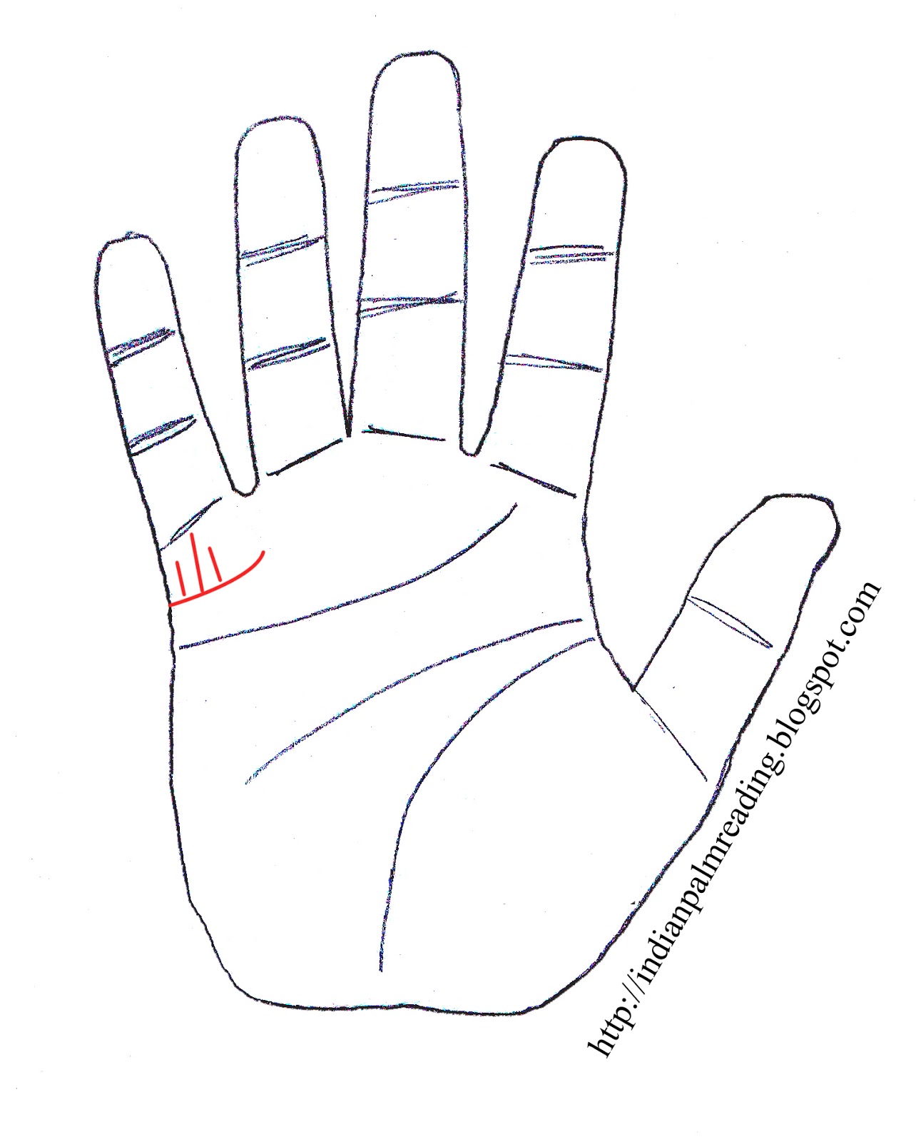 How To Count Children Lines Palmistry | INDIAN PALM READING ...